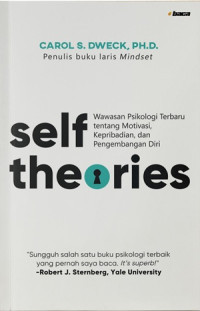 Image of Self Theories